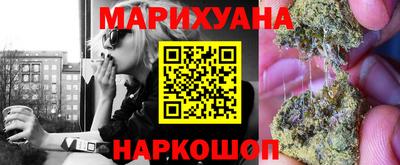 прущие грибы Чебоксары