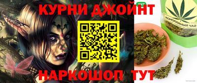 прущие грибы Чебоксары
